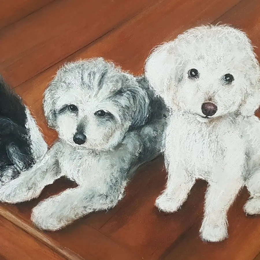 Pet Pastel Portraits