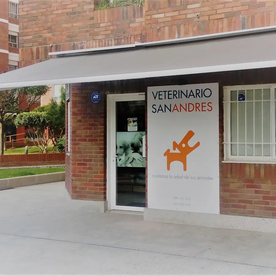 Veterinario San Andrés