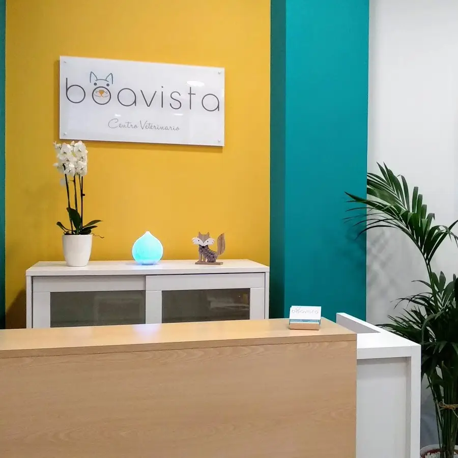 Boavista Oftalmología Veterinaria