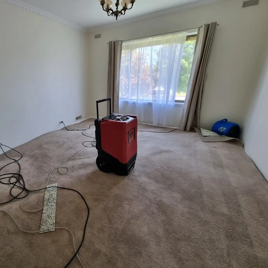 Jena's Carpet Cleaning