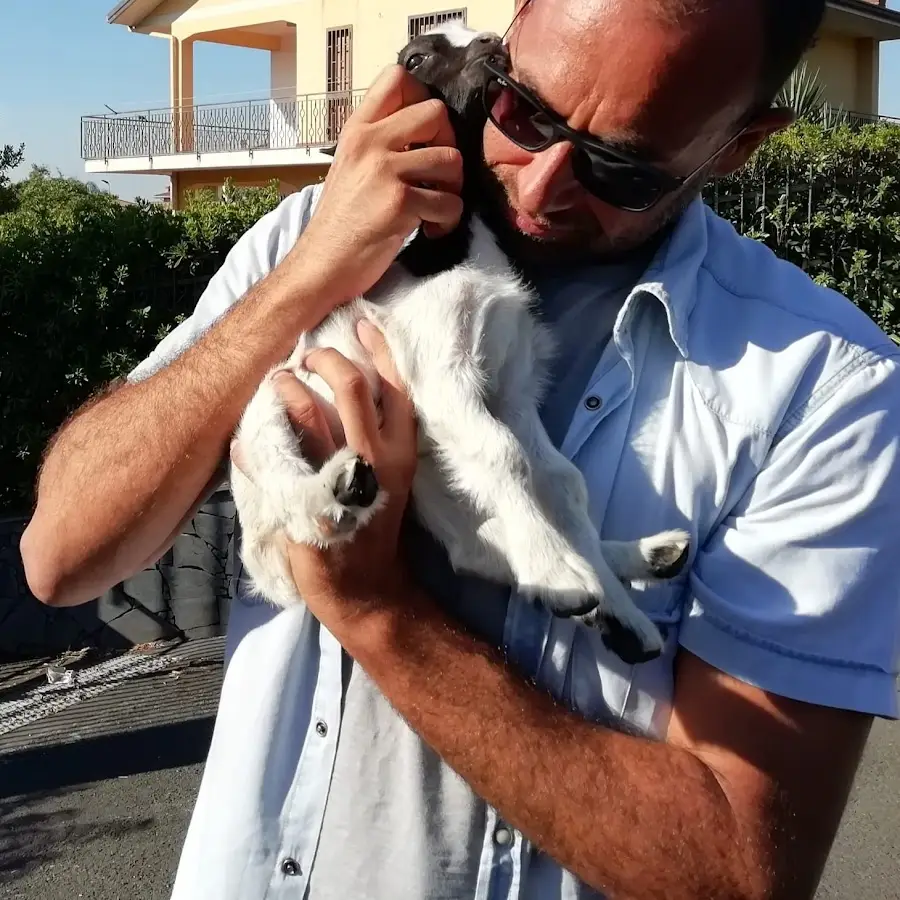 Centro Veterinario del Bosco