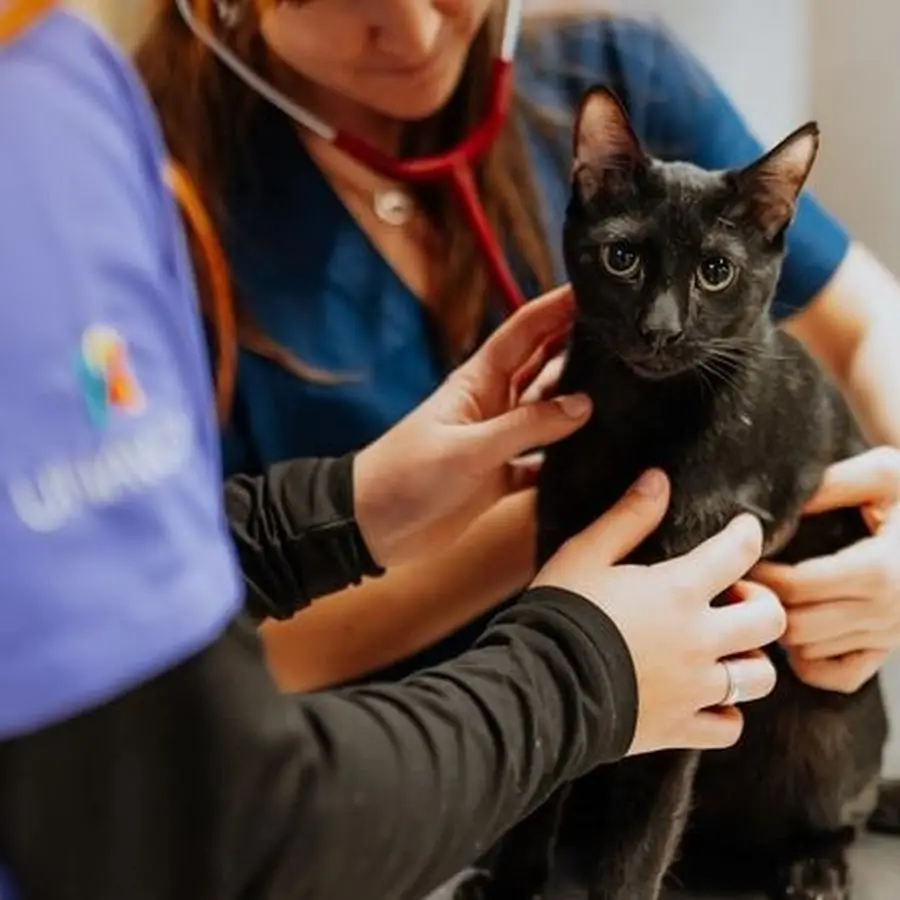 Hospital Veterinario Tartanga Erandio