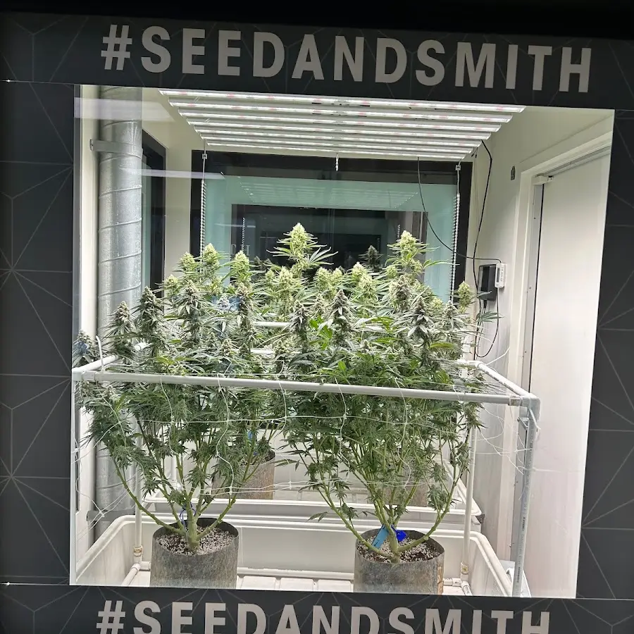 Seed &amp; Smith Cannabis