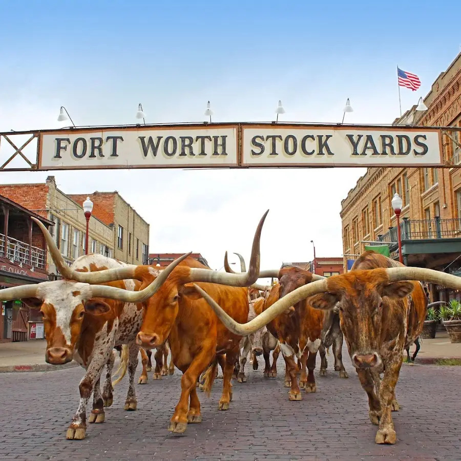 Radisson Hotel Fort Worth North-Fossil Creek