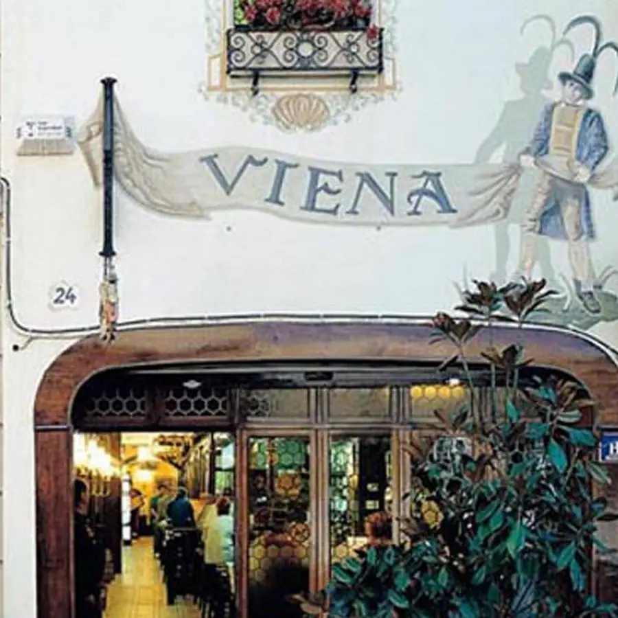 Viena