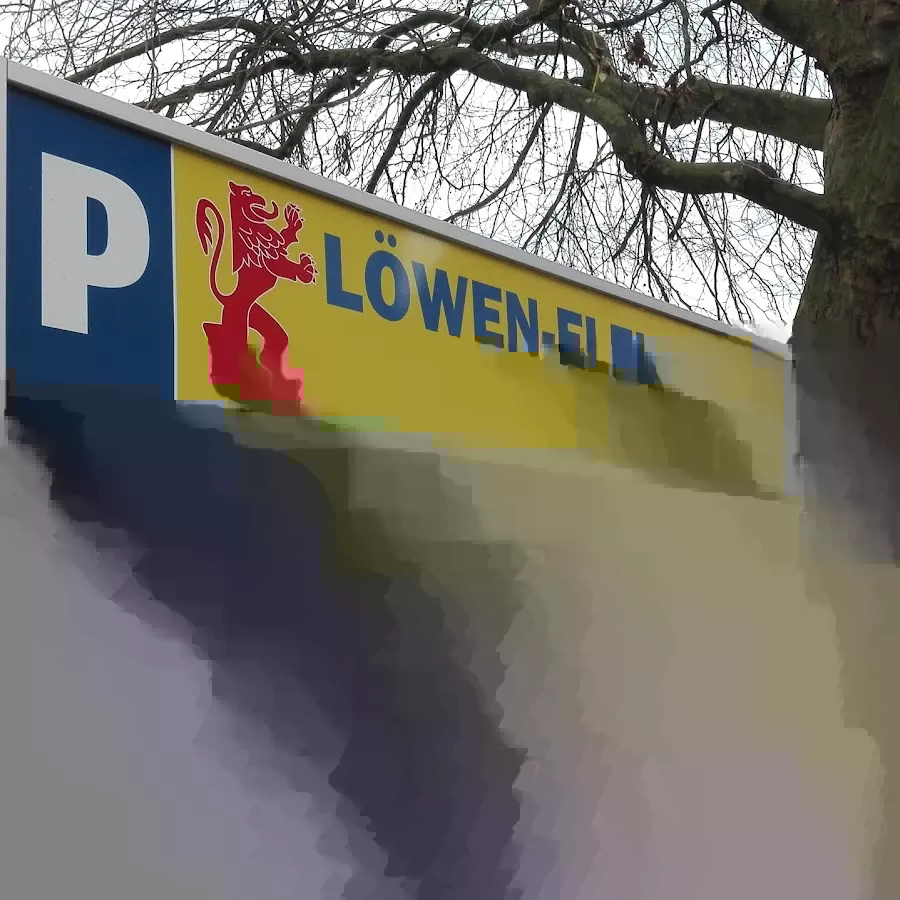 Löwen-Elektronik