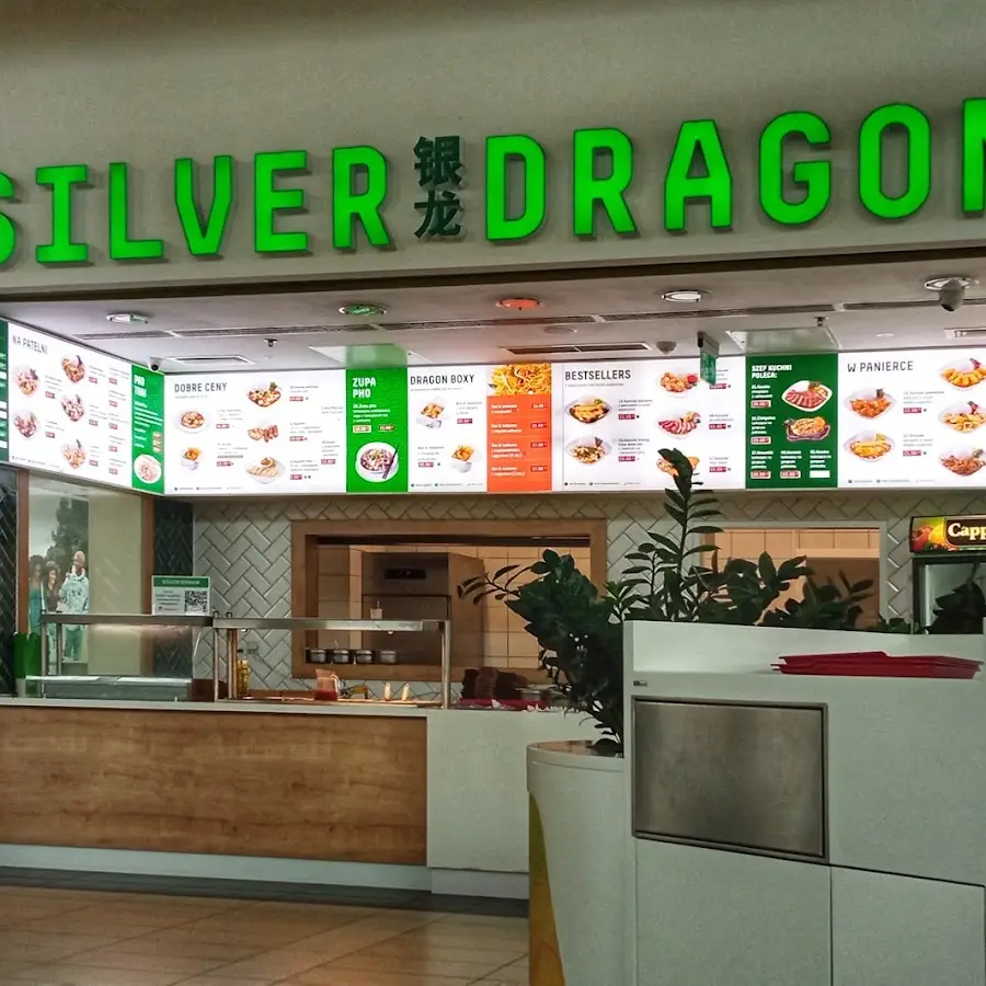 Silver Dragon