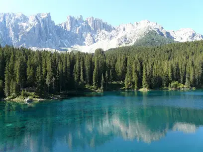 Gottardi Roberta - Guida turistica del Trentino - Guía oficial de turismo de Trentino