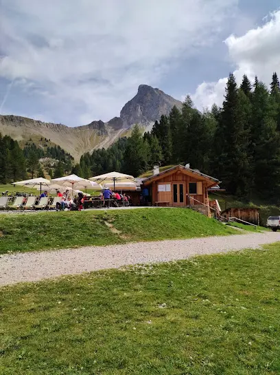 Partenza navette per San Nicolò / Monzoni