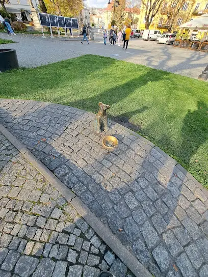 Księgarnia Libera Rynek