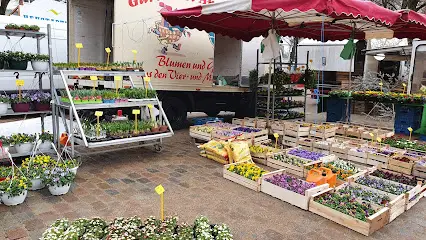 Wochenmarkt Großneumarkt