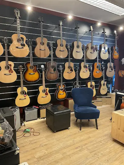 Gaudenzi Guitars