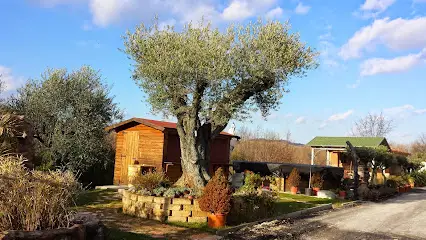 Azienda Agricola Vivaistica Casavecchia Leonello