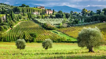 Consulente Agricolo