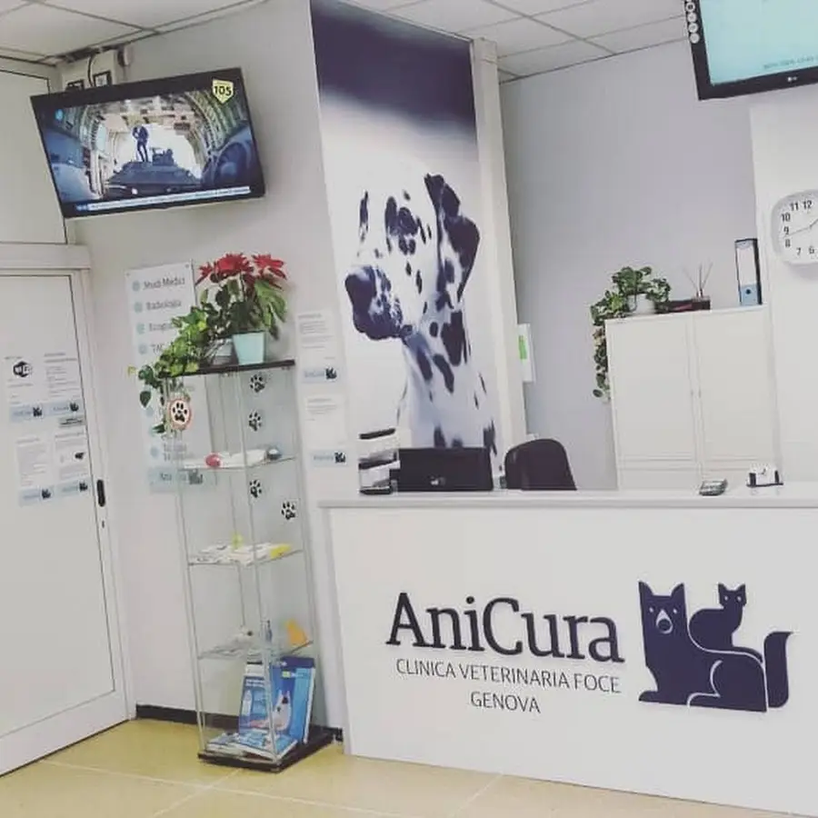 AniCura Clinica Veterinaria Foce