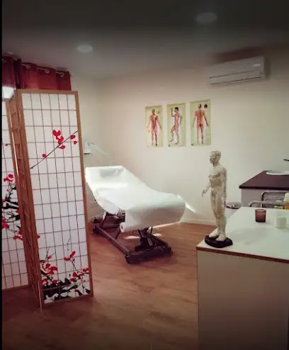 Acupuncture Cabinet Xin Li