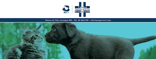 Centro Veterinario Gregorio VII - BluVet