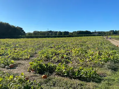 Wards Berry Farm