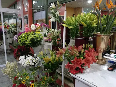 Floristería Aguilera