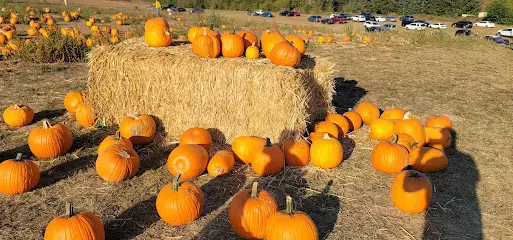 Plumper Pumpkin Patch & Tree Farm