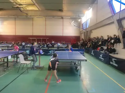 ALCR Tennis de Table Lyon 4