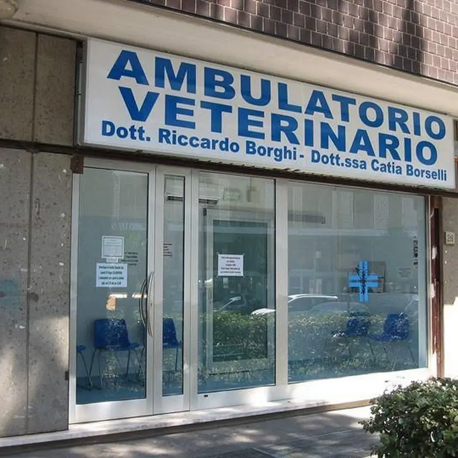 Ambulatorio Veterinario Firenze Nova Dei Dottori Riccardo Borghi &amp; Catia Borselli