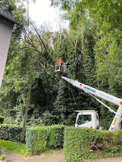 Baumkletterdienst Knekties, Baumpflege für Bergkamen und Umgebung