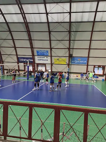 Nuova Pallavolo Campobasso