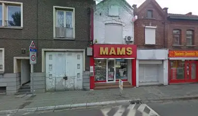 MAMS® Computers