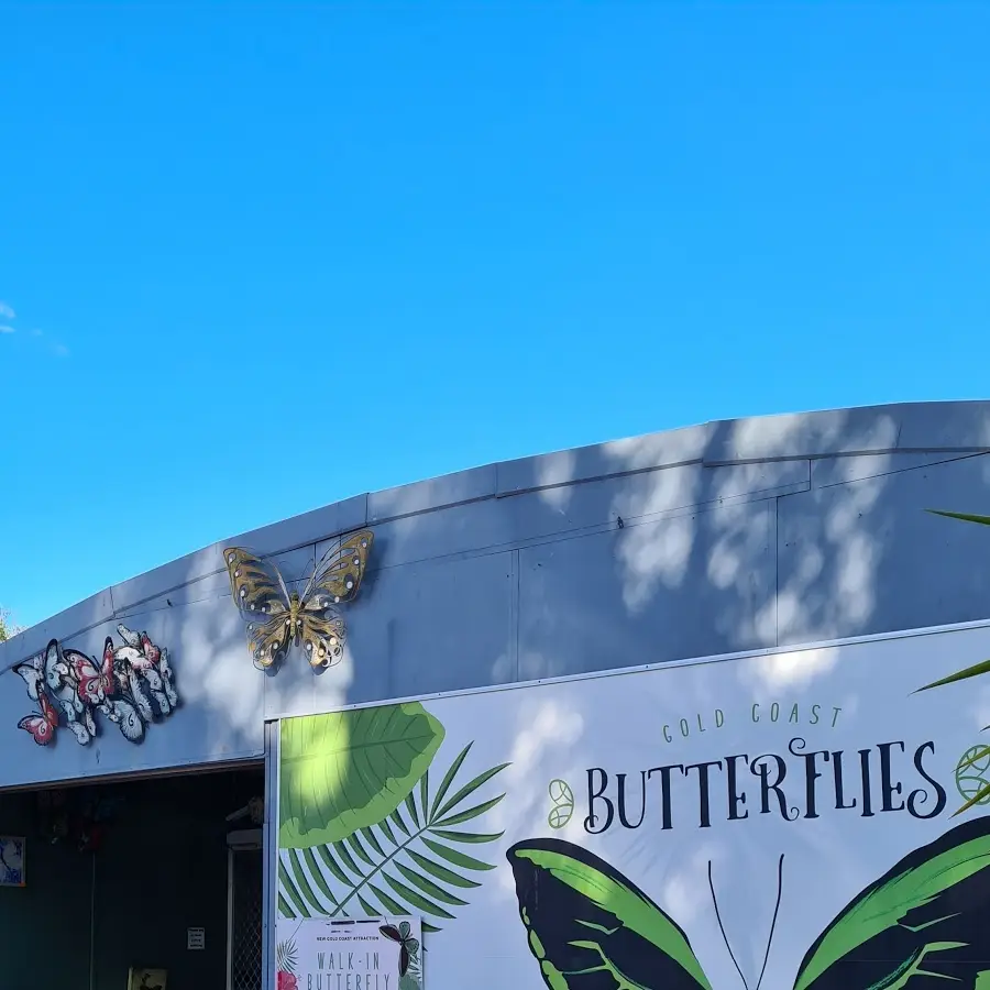 Gold Coast Butterflies