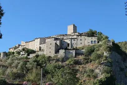 Torre degli olivi