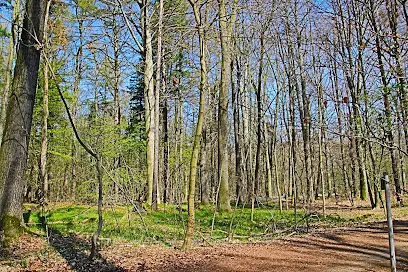 Crimmitschauer Wald