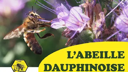 Abeille Dauphinoise Syndicat d'Apiculture de L'Isère