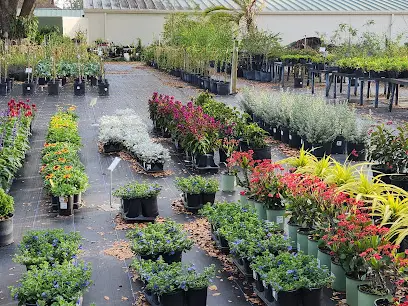 Citrus Park Nursery