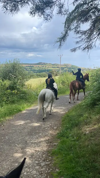 Brennanstown Riding School