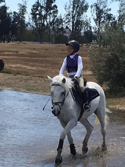 Newport Mesa Riding Center