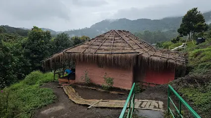 Bison Log House