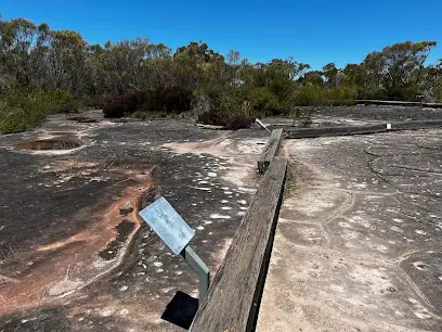 Basin Boonga art site