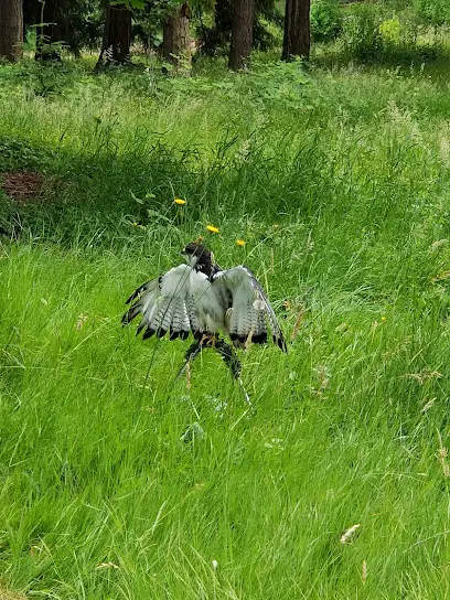 Seward Park Audubon Center