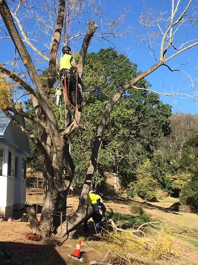 Heritage Tree Care