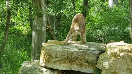 Wildkatzendorf Hütscheroda