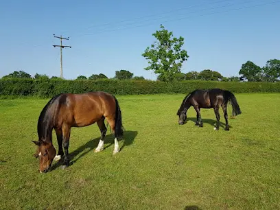 Rein & Shine Equestrian Centre