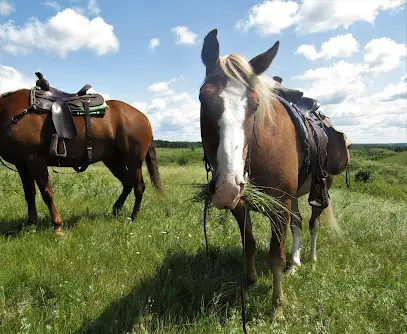 HI Rossburn - 9 Finger Ranch