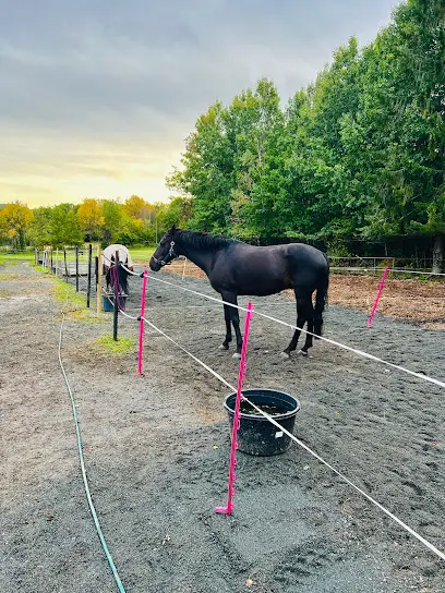 Rock House Stables