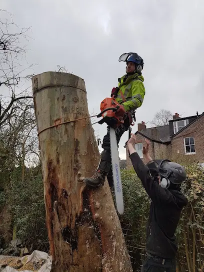 Treestyle Arboriculture, Tree Surgeon Manchester