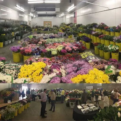 Dreisbach Wholesale Florists