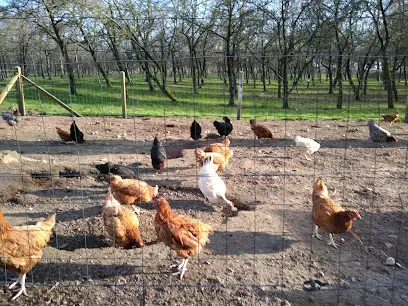 La Ferme au Fil des Saisons