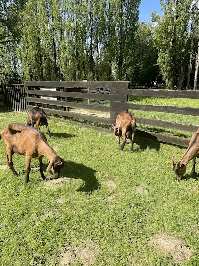 Ferme Pédagogique de Saint Hilliers