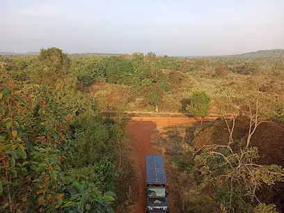 Chandaka Forest