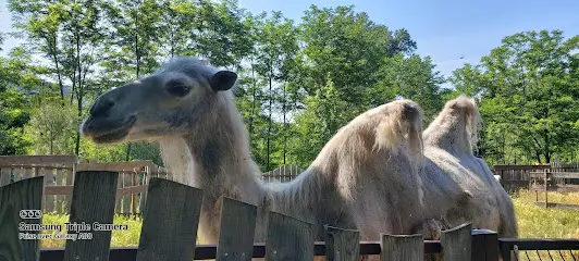 Parc animalier de Lussas